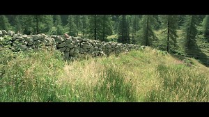 171K views · 1.3K reactions | Watch the official UK trailer ! English fans, the film releases today in the Vue cinemas. Regardez la bande-annonce officielle du Royaume-Uni. Fans anglais, le film sort aujourd'hui dans les cinémas Vue. | Minuscule | Facebook