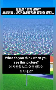 ??? : 난 얼마나 죽는거냐...?! #죠죠의기묘한모험 #죠죠 #애니메이션 #쇼츠