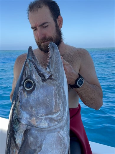 Back 2 Basics Adventures on Reels