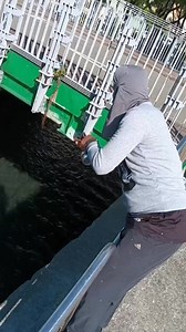 2.3K views | Target fishing | Island Fishing | Facebook