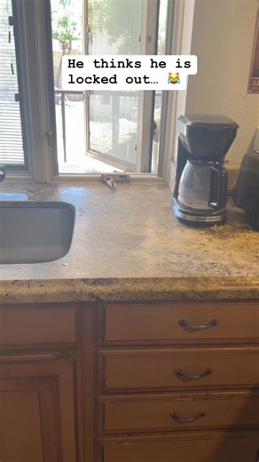 731K views · 10K reactions | Reaching in with his little sad paws.. 凉 #fyp #petoftheday #cat #mycrazycatlife | Justin Jones | Facebook