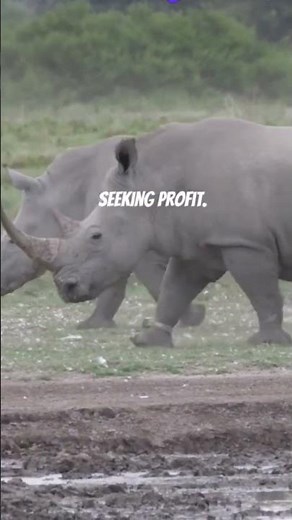 Why Do Animals Go Extinct? Uncovering the Truth!