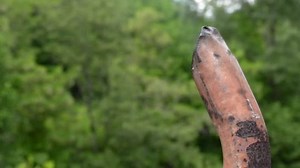 Air Polluted Toxic Smoke Old Truck Stock Footage Video (100% Royalty-free) 8925397 | Shutterstock