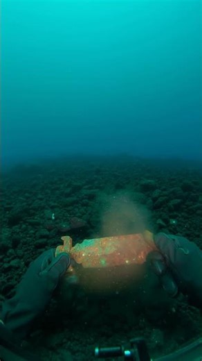 What Did I Just Discover in the Deep Sea?