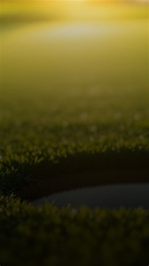 🏆 Maxfli Tour Balls - Premium performance under $40