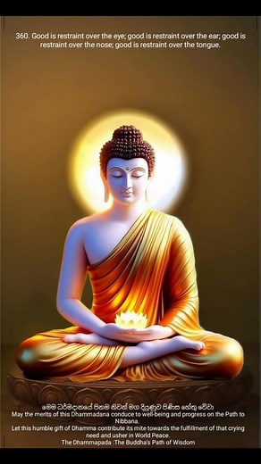 The Dhammapada :The Buddha’s Path of Wisdom #buddhism #buddha #buddhaquotes #buddhastatue #buddhateachings #buddhadharma #art #follow #lifestyle #photooftheday #motivation #photo #nature #historyfacts #history #community #heritage #archaeoloynews #archaeologist #archaeology #archaeological #archaeologylife #historylovers #historyinthemaking #historymatters | ධම්ම පදය