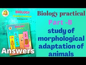study of morphological adaptation of animals class 12 biology practical experiment 11 answers