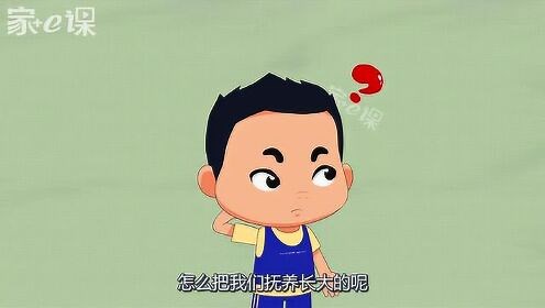 珍爱生命_生命的孕育过程
