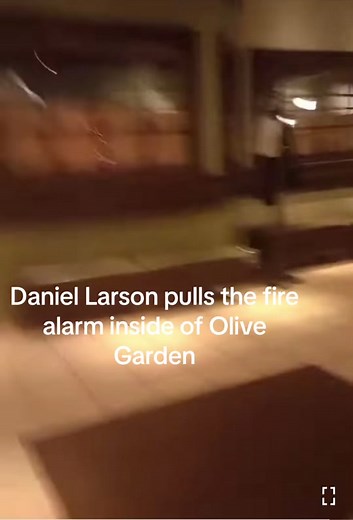 Daniel Larson's Olive Garden Incident Explained