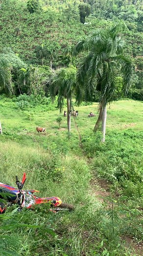 Bebe racing 🤩🤩🔥