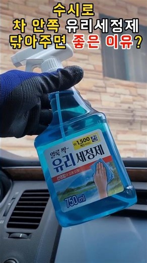 자동차 안쪽 창 유리세정제 수시로 닦아주면? 좋은 점!#자동차세차 #다이소템