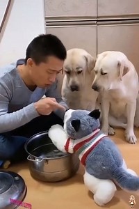 16K views · 344 reactions | Colorful Life #4 | Colorful Life | Facebook