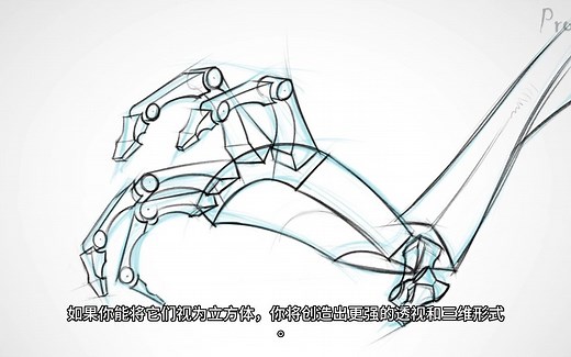 【艺用人体解剖】Proko（全集中字）4-2.2:手部骨骼动态画法