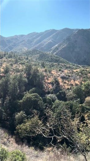 Big Bend Window View