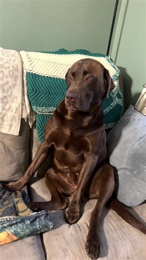 Suspicious Behavior Caught on Camera