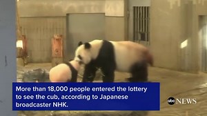 Lottery winners get glimpse of Japan's new baby panda