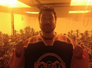 Good Movies To Watch While High On Weed