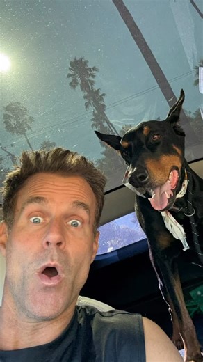 Cameron Mathison | After weeks of fostering, our sweet boy Hunter has finally found his forever home — and it couldn’t be more perfect An amazing couple,... | Instagram