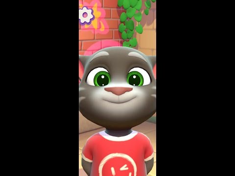 My Talking Cat & #short #live #stream #cat