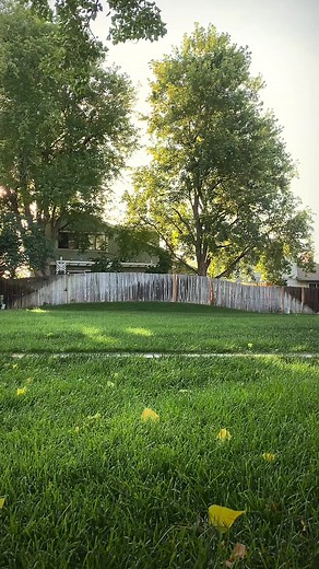 197K views · 4.6K reactions | Normal dog owners vs Husky owners! Send help! Anyone relate? #huskies #comedy #funnydogvideos #dogvideos #dogreels #doglover #funny #funnydogs #toocute #dogs #ilovedogs | 2Husketeers | Facebook