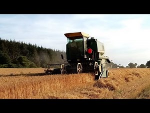 Moisson d'orge à l'ancienne 🇫🇷 | John Deere 975