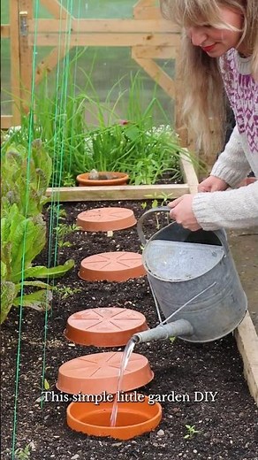 This Pot Waters Your Crops For You #gardening