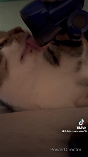 Can somebody explain to me why Bill has to lick and bite things 🤣