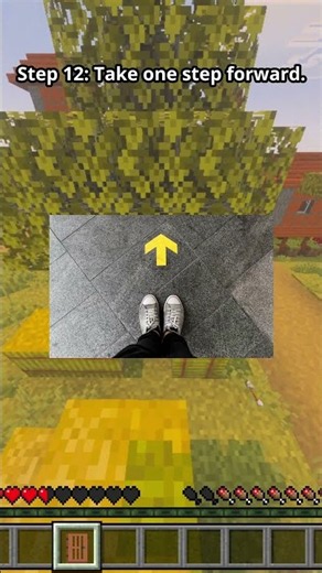 How to Place a Door in Minecraft Bedrock Edition