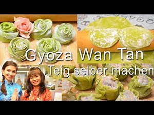 TEIG FÜR WAN TAN GYOZA DIM SUM selber machen