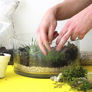 How to Make a Succulent Terrarium with MakersKit Full instructions here: http://goodho.us/6007B92G7 PIN IT for later: http://goodho.us/6003B92H9 | Good Housekeeping