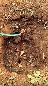 Learn Electrical on Reels