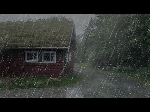 Lluvia Relajante para Dormir - Sonido de Lluvia sin Truenos en Bosque Brumoso - ASMR