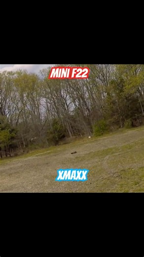 Mini F22 & XMaxX