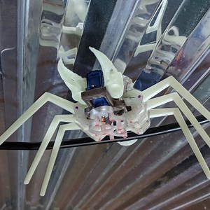 XANDR the XTINGUISHER