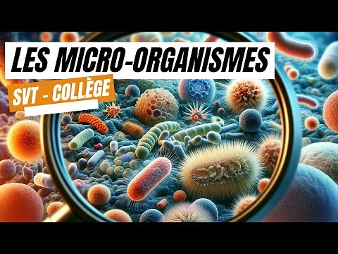 Microorganisms - SVT College