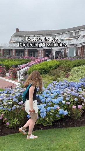 133K views · 717 reactions | Let’s grow together! Whether you’re a seasoned gardener or just starting out, we’ve got you covered. Follow us for stunning gardens, helpful tips, and plant recommendations.  #gardening #shrubs #flowers | Proven Winners ColorChoice Flowering Shrubs | Facebook