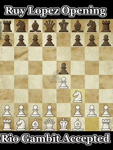 Ruy Lopez Opening: Berlin, Rio Gambit Accepted 📖🔥 #chessmaster | Chess Master