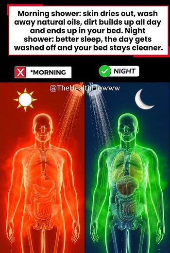 Morning vs. Night Shower: What’s Best for You? 🚿