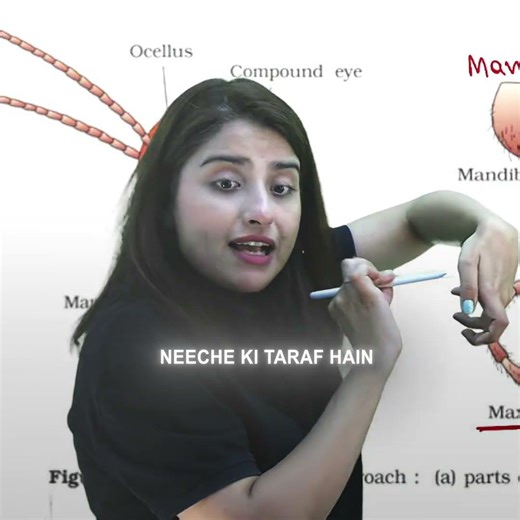 Why Do Cockroaches Look Down Explained by Seep Mam #seeppahuja #seepmam #neet #unacademyneet #bio