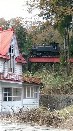 Steam locomotive travel Japan!