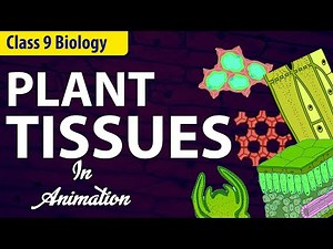 Plant tissues class 9 biology