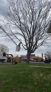 174K views · 2.3K reactions | Making space and preserving safety! ✨ #TreeRemoval #NatureCar #arborist #popular #timelapse | Total Control Tree Service | Facebook