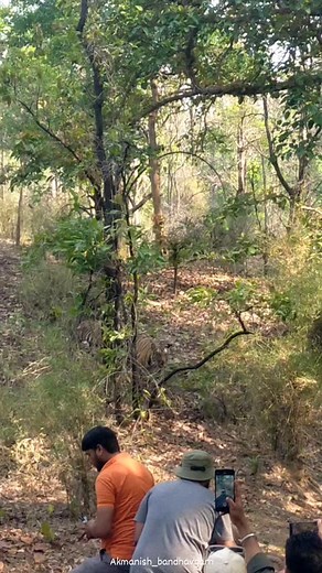 Tiger bihaviour #tiger #wildlifephotography #wildlife #viral #wildlifephotography #followforfollowback #worldwithoutnature #tigerfacts #travelphotography #travelphotography #millionaire #viralvideos #trending #akmanish7 #akamnishbandhavgarh #akmanish | Ak Manish