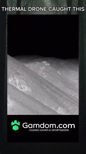 Horror | Mystery | History on Instagram: "The Omnitrix is a powerful and iconic device from the Ben 10 animated series, created by the character Azmuth, an alien scientist of the Galvan species. Originally intended as a way to foster peace and understanding across different alien species, the Omnitrix is a watch-like device that allows its user to transform into various alien beings by reconfiguring their DNA. Each alien transformation offers unique powers and abilities, granting its wearer acce