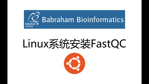 FastQC安装【Linux系统】-bili_61215860024-software-哔哩哔哩视频