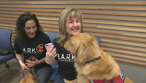 Unleashing stress at Kelowna RCMP detachment