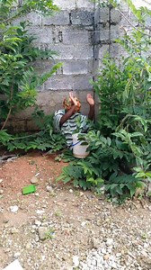 Interested story #comedy #videos #food | Mr mushemo comedy