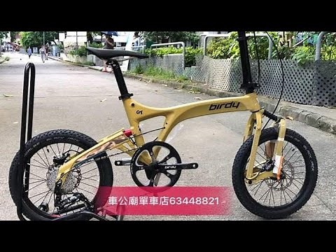 YouTube Birdy GT 10速 開箱+摺車教學！（停産！）