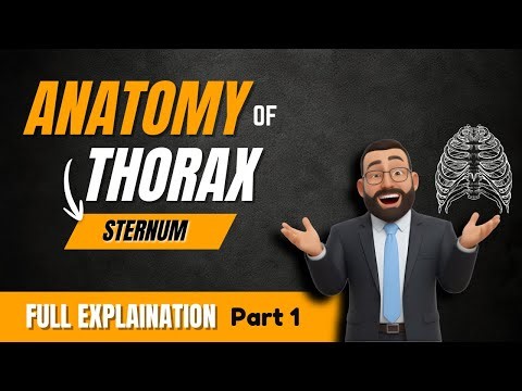 1- Sternum(Introduction ) |Anatomy of Thorax | Osteology, Parts & Clinical Importance | part 1