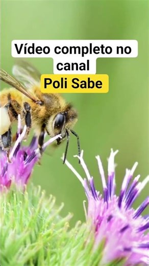 Improve PC audio and sound.